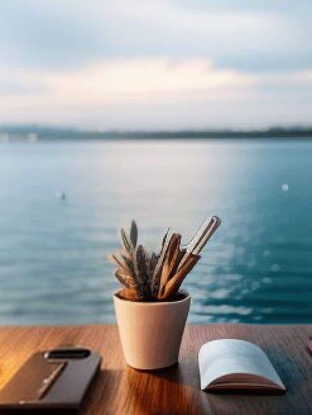 Wie Video-Calls dein Leben verändern